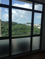 The Skywoods (D23), Condominium #175431952